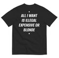 ALL I WANT IS ILLEGAL, EXPENSIVE OR BLONDE