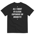 ALL I WANT IS ILLEGAL, EXPENSIVE OR BRUNETTE